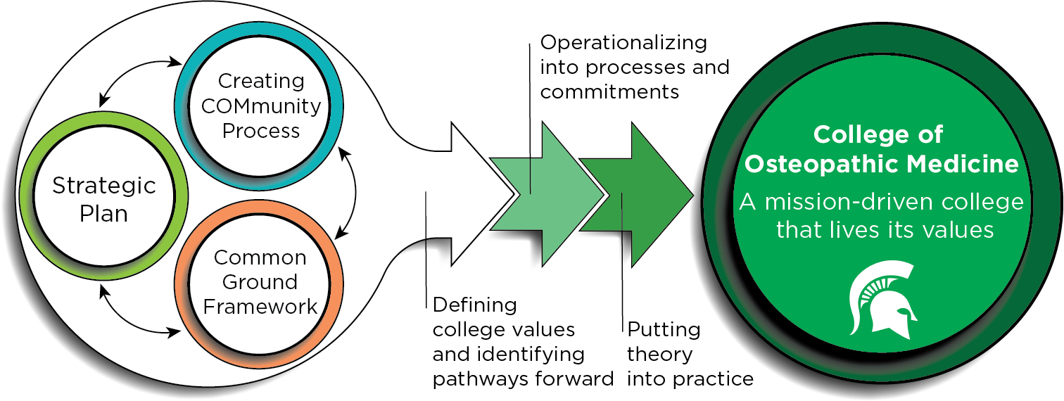 MSU College of Osteopathic Medicine Process